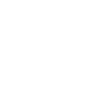 Parkes Development